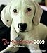 Hund Shakeera 2009 by