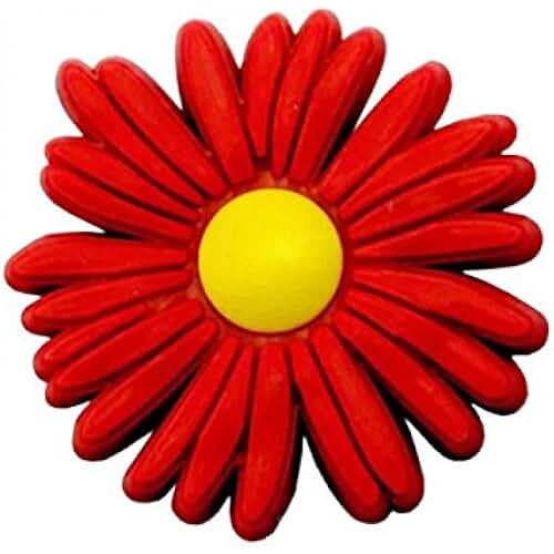 Amazon.fr pins crocs