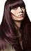 (NEW) WIG PERRUQUE LONG NATURAL PURPLISH DARK BROWN WITH A HINT OF RED HAIR, IN GREAT REALISTIC CUT. (Style ESME)