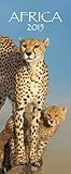 Africa 2015: PhotoArt Vertikal Kalender by 