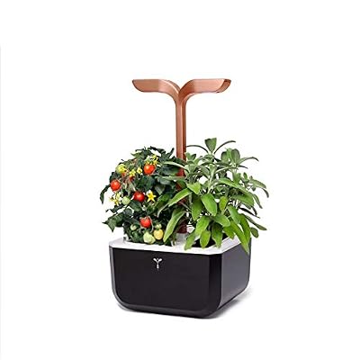 Veritable Véritable® EXKY® - Potager d'Intérieur Fabriqué en France - Jardin Autonome Intelligent Livré avec 2 Lingots® - Ces Innovation Award 2019, Elu Produit De l'Année 2020 (Smart Copper)
