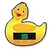 Pack of 'Happy Family' Jungle Animals Nursery and Room Thermometer, Duck Bath Thermometer and Monkey Forehead Thermometer for Baby/Child