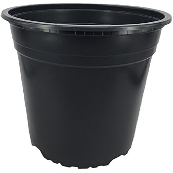 Plant pot EDA CF-6540042 Anthracite Dark grey Plastic Squared 49,5 x 49,5 x 49,5 cm