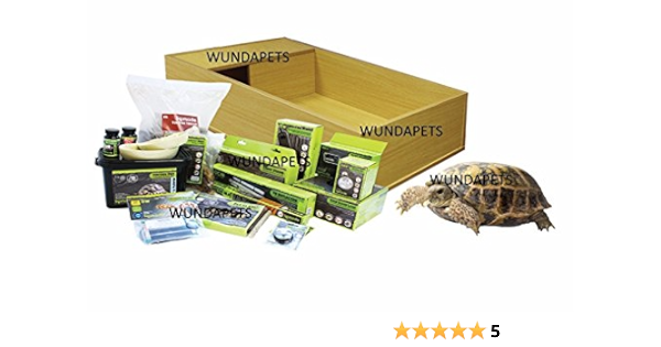 tortoise starter kit amazon