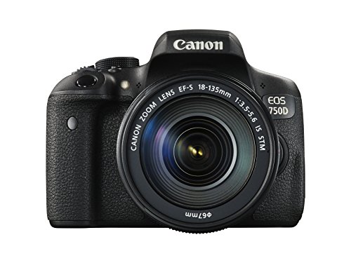 Canon EOS 750D Digital SLR Camera (24.2 MP, 18 - 135 mm Lens, CMOS Sensor) 3-Inch LCD