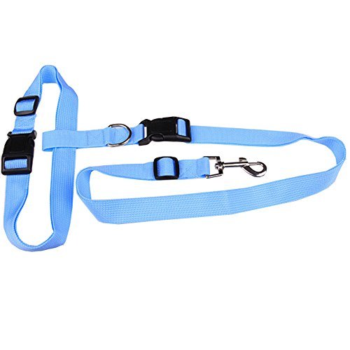 Preisvergleich Produktbild huihuger Praktisches verstellbar Haustier Hund Leine führen für Laufen Walking Wandern Joggen (blau)