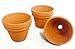 Produktbild Bastel terracotta Blumentopf mittel 3,5cm x 3cm Tontöpfe Basteltöpfe 20 Stück