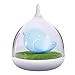 Produktbild Nachtlicht Lampen ICOCO Nachttischlampe Niedlich Vögelkäfig Nachtlicht USB aufladbar LED-Lampe mit USB-Ladekabel für Baby Kinder