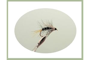 TROUTFLIES UK WET FLIES Kate Mclaren Trout Flies. 6 Pack, Wet Flies, Choice of Sizes, For Fly Fishing