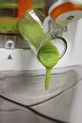 CASO SJW400 Design Entsafter, Slow Juicer für schonendes und sanftes entsaften von Obst, Gemüse und Kräutern, BPA frei - 8