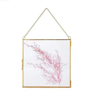 Gracious Mart - Plated Brass Glass Photo Picture Frame Hanging Portrait Decor with Chain - [7 x 7 | Pack of 1 | Gold]