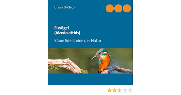 Eisvogel Alcedo Atthis Blaue Edelsteine Der Natur Amazon De Di Chito Ursula Bucher Eisvogel Alcedo Atthis Blaue Edelsteine Der Natur Amazon De Di Chito Ursula Bucher