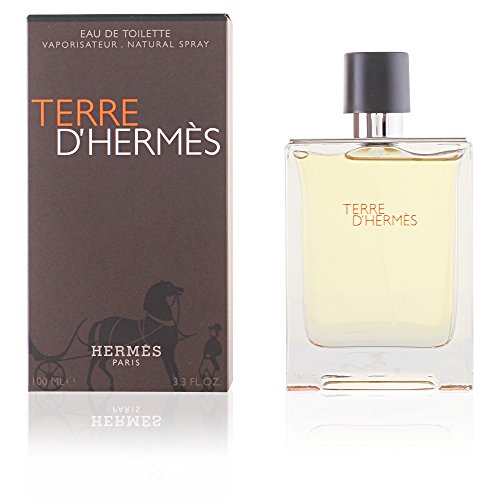 Preisvergleich Produktbild Terre d 'Hermes edt Vapo 100 ml ORIGINAL