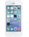 Produktbild NEU Skech Displayschutz Schutz für iPhone 5 C, Retail-Verpackung, transparent