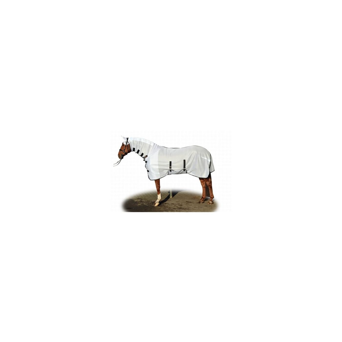 Horse ‘n’ Pony