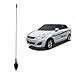 Autofy Premium Quality AM/FM Car Antenna for Maruti Suzuki Swift Dzire (Black) RS.179.00