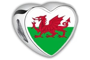 2Burned Love Heart Photo Alloy Zinc Bracelet Charm Bead Gift Fit Pandora