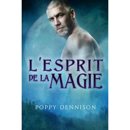 L’esprit de la magie (Les Triades t. 1)
