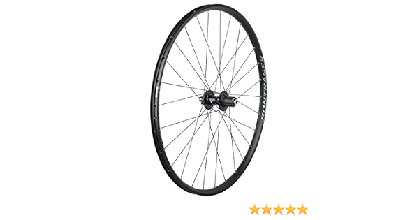 Bontrager Duster Elite TLR 29 Inch 