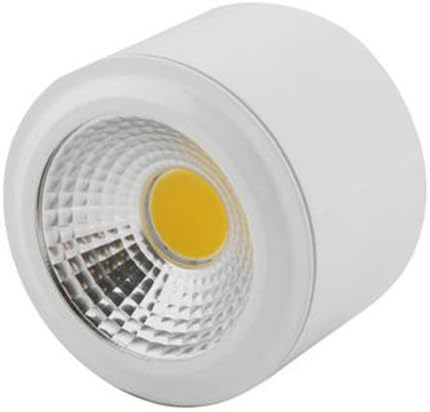 Brightsky 3w Warm White COB LED Lamp Surface Mounted Ceiling Downlight Spotlight White Housing