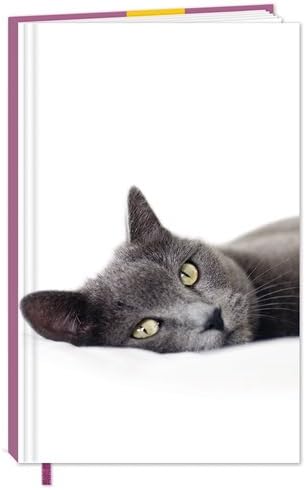 Cats Protection Stationery - Hardcover Notebook (A6) Charcoal Grey Cat