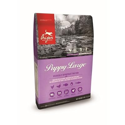 Origen OrijenPuppyLargeBreed 6 Kg