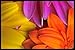 Produktbild Big Foot Flower 28 Fußabtreter, Polyester, mehrfarbig, 60 x 40 x 1 cm