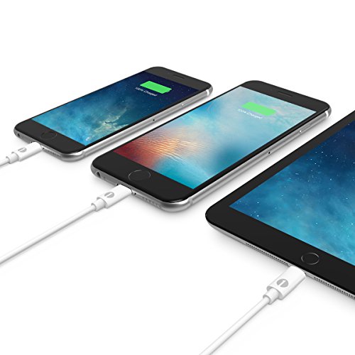 [Apple MFI Certified] 1Byone Lightning to USB Cable 3.28ft (1M) for iPhone 7/7Plus, iPhone 6/6s, 6/6s Plus, iPhone 5/5s/5c, iPad with Retina display, iPad mini, iPad Air, iPad Pro,iPod nano 7th Gen and iPod touch 5th Generation for iPhone Charger Cable-1-Year Limited Warranty