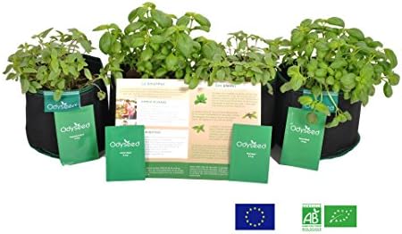 odyseed Ready to Grow Herb Kit – 4 Varieties of Seeds (Basil, Lemon Basil, Thai Basil, Great Green Basil Cinnamon) &amp; 4 smartspots 4L + European Quality 100% Original – Grow Your Own Herbs – Organic – Medium.