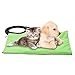Produktbild Per Pet Automatische Konstante Temperatur Heizkissen Elektrische Erwärmung Matte Beheizte Decke 40 * 30 cm Wasserdichte Kauen Beständig Stahlkabel Für Hund Katze Kleine Tiere-Grün