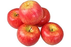 GMMH Konstgjort dekorativt äpple, 5 stycken (rött, 90–120 g/st) verklighetstrogen plastfrukt, äpplen plastfrukt, konstfrukt