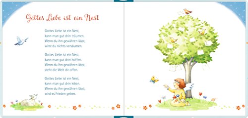 Geschenkbuch - Du bist ein Geschenk: Zu deinem Fest der Taufe - 2