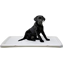 Kerbl Pet Toilettes pour Chiots XL, 90x60x4cm, Couleur crème, pour Chiots, Chiens âgés ou Malades, Tapis Vendu séparément, Plastique, fabriqué en Italie