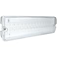 Eterna YESSS LED Maintained Emergency Bulkhead, Multi