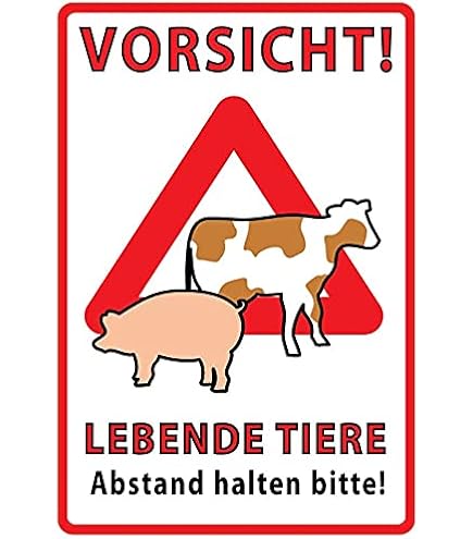 Kiwistar Magnetschild Tierarzt - Magnetisches Warnschild Für Auto, 20 Cm Rot, Wiederverwendbar