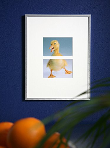 Nielsen Aluminium Wechselrahmen C2 - 6