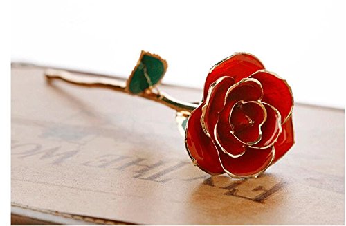 Itian 24K Gold Getauchte Echt Rote Rose, Liebe Geschenk für Ihre Freundin / Frau für Geburtstag, Weihnachten, Valentinstag Jahrestag (Rot) - 6