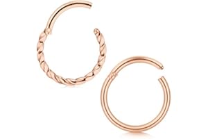 Briana Williams 2 Piezas Septum Acero Quirurgico Piercing Nariz Aros 8mm Pendientes Anillos Labio Helix Piercing 1.2mm