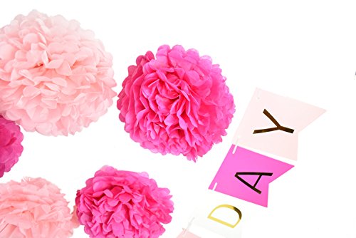 HAPPY BIRTHDAY Girlande Rosa Dekoration Serie 6er Set Seidenpapier PomPoms Deko - 4