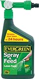 EverGreen Spray and Feed Lawn Food Spray, 1 L (Garden &amp; Outdoors)