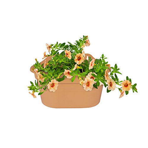 elho Green Basics Wandampel 30cm – Körnig Sand - 2