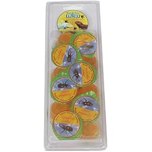 Namiba Terra 70117 Vorteilspack, 12 Stück Jungle Shop Beetle Vitamin-Frucht Jelly für Insekten, 16 g pro Stück