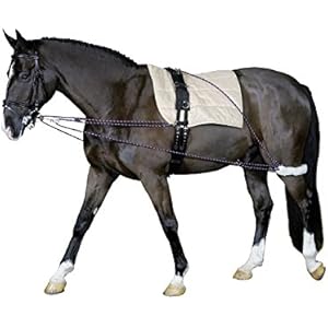 Longierhilfe Bodenarbeit Ausbildung Pony und Kleinpferde| Longiersystem Warmblut | Longier-und Trainingssystem | Longieren Hilfszügel