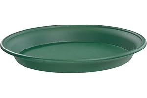 ALTUNA Stewart 2142019 42 cm Multi-Purpose Saucer - Green