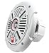 db Drive APS 8.0W Amphibious Marine Coaxial Speakers 350W, Set of 1 (White) RS.15189.00