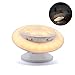 Produktbild WEILY LED Nachtlicht mit Bewegungsmelder, UFO 360 ° drehbare & aufladbare Nachtlampe mit abnehmbare Magnetische Basic, Innenleuchte für Kinder Flur Treppen Küche Bad Schlafzimmer (Warmes Gelb)