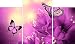 Go Hooked Multiple Frames Designer Printed Wall Décor - 3 Frames / Wall Decor / Home Decor Print RS.549.00