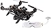 Produktbild XciteRC 15003650 - FPV Racing-Quadrocopter Runner 250 RTF - FPV-Drohne mit HD Kamera