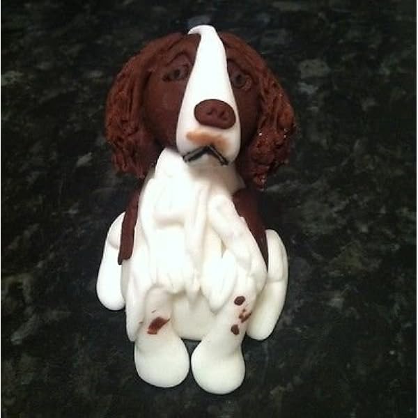 springer spaniel cake