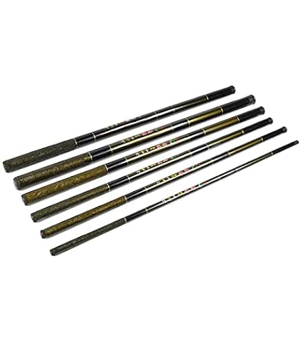 Canne à Pêche Fixe Lineaeffe Next 4m – Télescopique Carbone Léger 20-40g, Rivière, Mer, Étang, Très Maniable